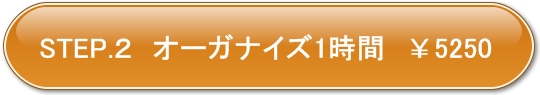 オーガナイズサービス資格者1名1時間5250円